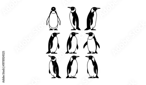Modern Penguin Vector Set with Standing Antarctic Birds in Minimal Geometric Black and White Style
