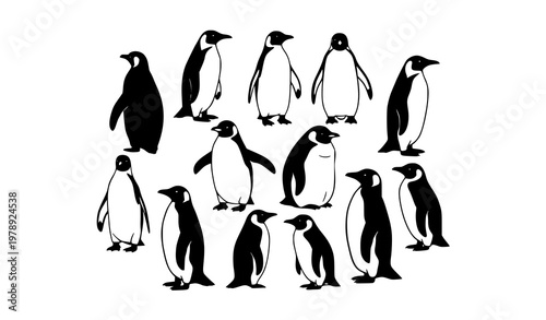Black Penguin Silhouette Collection with Various Standing Antarctic Birds Vector Illustration on White