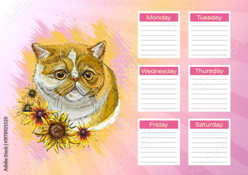 Exotic shorthair cat with sunflowers printable planner and school schedule vector