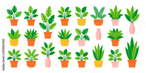 Vibrant assortment of potted green houseplant illustrations 