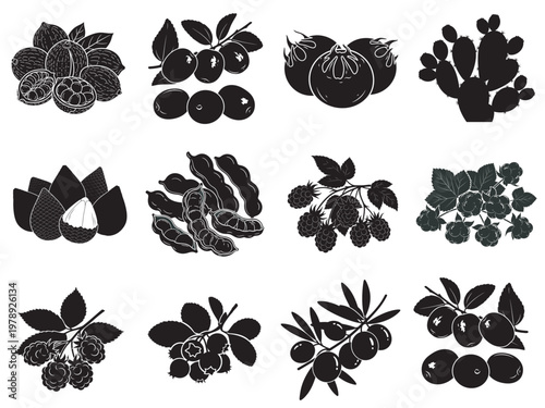 set of black floral decorative elements and botanical silhouettes on white background