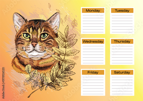 Bengal cat with leaves planner and school schedule vector