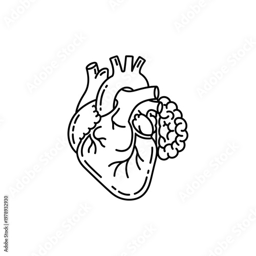 Anatomical illustration of a human heart.