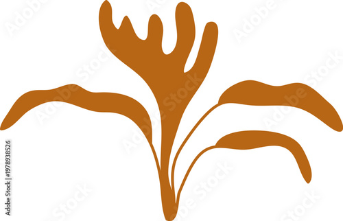 Tropical Leaf Silhouette Botanical