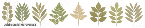 PNG Vintage botanical leaf illustrations, transparent background