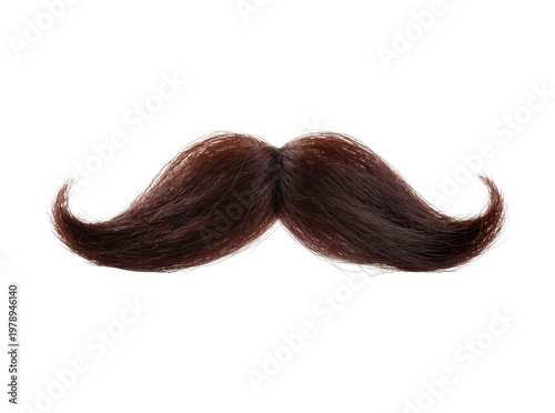 Obraz na plátně Isolated brown luxurious artificial mustache with curly ends for costume party o