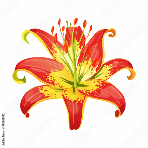 Vibrant Firefly Flame Lily (Gloriosa Superba) - Exotic Tropical Flower Illustration