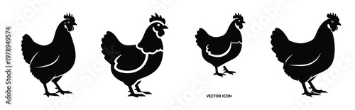 chicken silhouette simple icon set, black color and white background