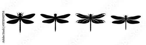 dragonfly silhouette simple icon set, black color and white background