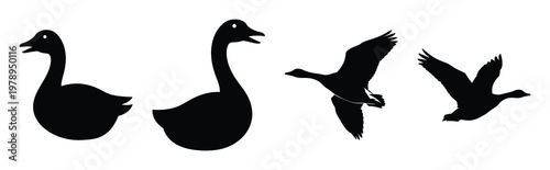 goose silhouette simple icon set, black color and white background