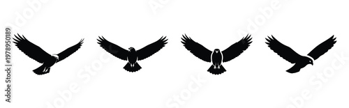 hawk silhouette simple icon set, black color and white background