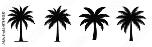 palm tree silhouette icon set, black color and white background