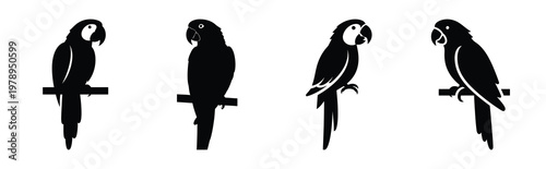parrot silhouette simple icon set, black color and white background