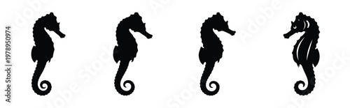 seahorse silhouette simple icon set, black color and white background