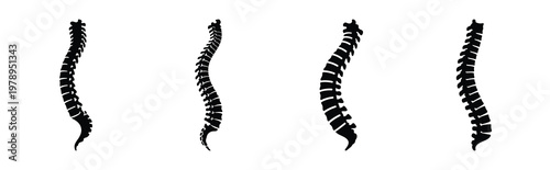 spine silhouette simple icon set, black color and white background