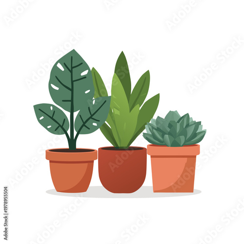 Flat vector illustration of a trendy houseplant collection with monstera, snake plant, and succulent in terracotta pots
