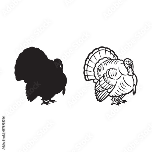 Black and white turkey illustrations on white background