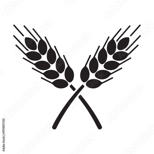 Wheat icon logo isolated on white background. Agriculture ears of wheat illustration.