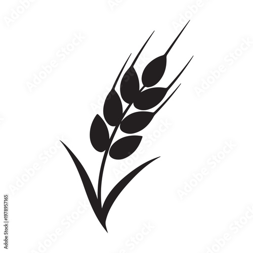 Wheat icon logo isolated on white background. Agriculture ears of wheat illustration.