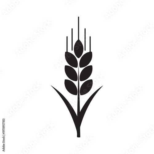 Wheat icon logo isolated on white background. Agriculture ears of wheat illustration.