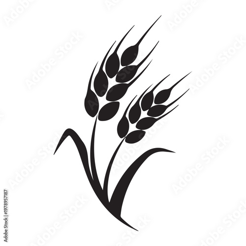 Wheat icon logo isolated on white background. Agriculture ears of wheat illustration.