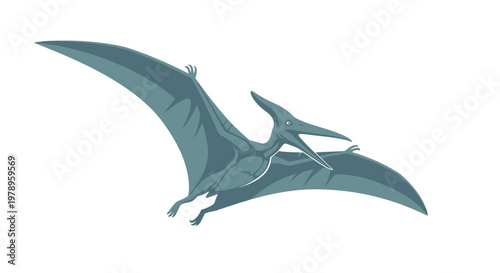 A Pterodactyl in flight, depicted as an illustration against a white background.