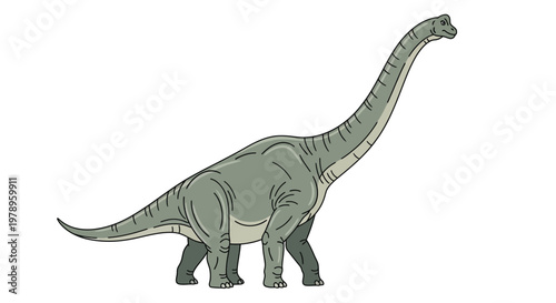 A long-necked dinosaur stands with its head held high against a white background.
