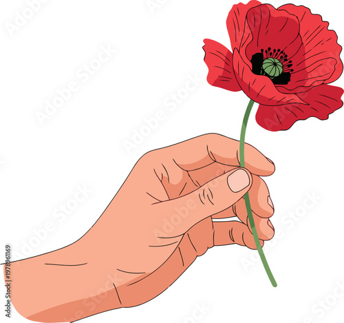 A hand gently holds a red poppy, symbolizing remembrance. ?Lest we forget? text adds a poignant touch. Suitable for memorial, remembrance, and veteran themes.
