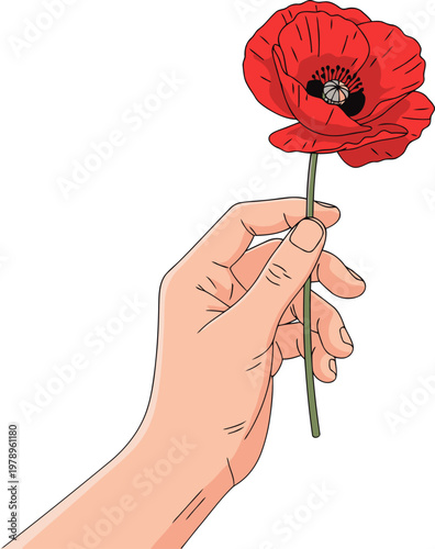 A hand gently holds a vibrant red poppy, symbolizing remembrance. A simple, poignant image for memorial campaigns and awareness.  Clean, modern illustration.
