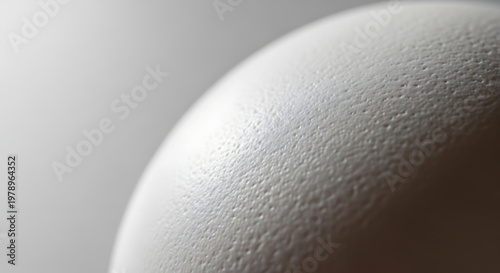 Raw Egg Surface Detail