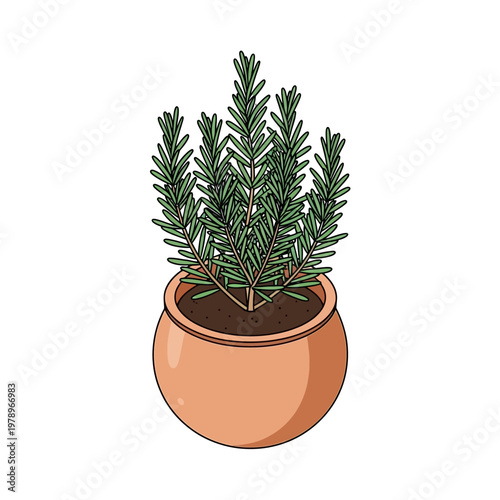A potted plant with green leaves.