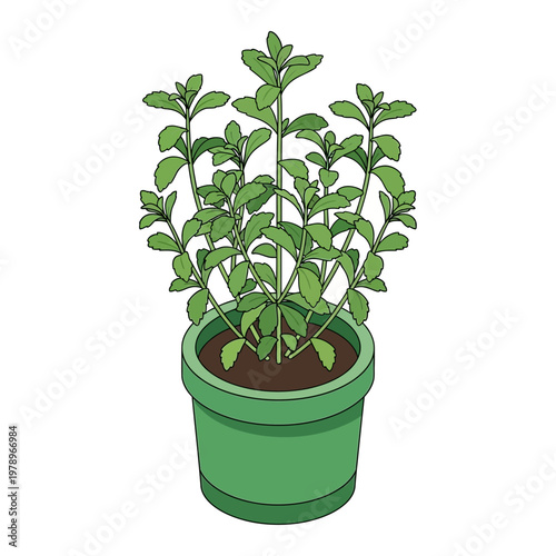 A green potted plant with leaves.