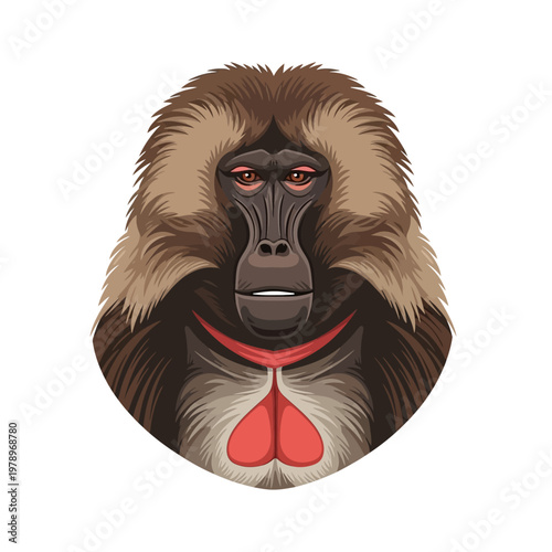A detailed illustration of a baboon's head, featuring reddish coloration on its chest