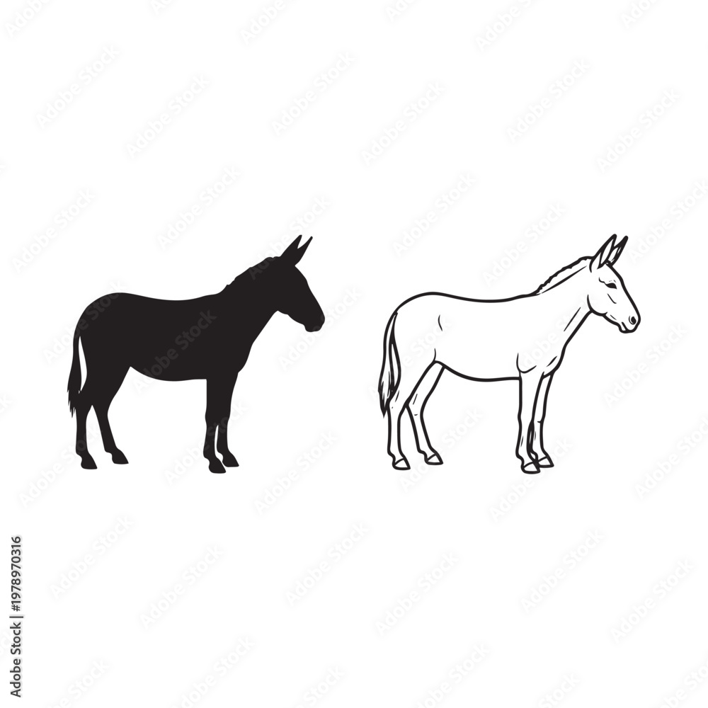 Fototapeta premium Black and white donkey illustrations isolated on white background