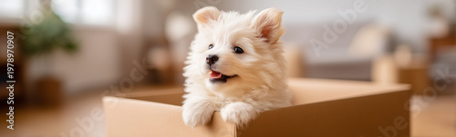 A Puppy's Playful Journey: ...