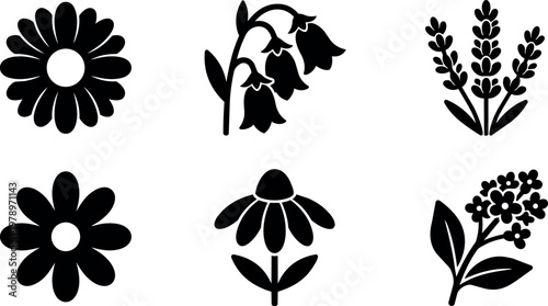 Black and white floral silhouette vector art with daisy coneflower lavender and bell flowers