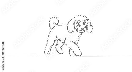 A playful poodle drawn in a single continuous line, showcasing its curly fur and joyful expression in a minimalist artistic style