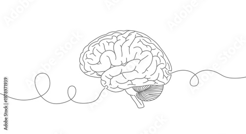 Continuous line art illustration of a human brain connected by a delicate, winding line, symbolizing thought, connection, and neural pathways in a minimalist design