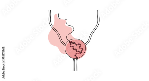 Abstract continuous line art illustration of a bladder with a network pattern inside, representing urology or kidney health on a white background