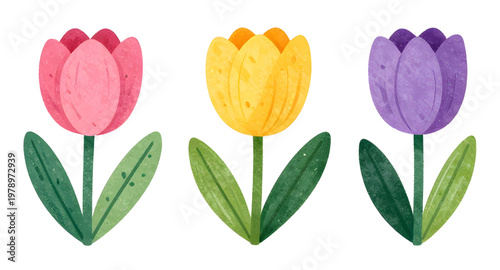 watercolor tulips, tulip illustration, floral watercolor, spring flowers, botanical art, flower painting, tulip bouquet, garden flowers, colorful tulips, soft petals, hand painted flowers, floral clip