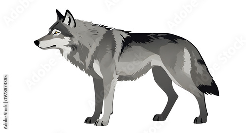 gray wolf, wolf illustration, wild animal, forest animal, standing wolf, wildlife predator, canine animal, nature wildlife, animal illustration, wolf design, wild mammal, outdoor animal, wolf icon, fo