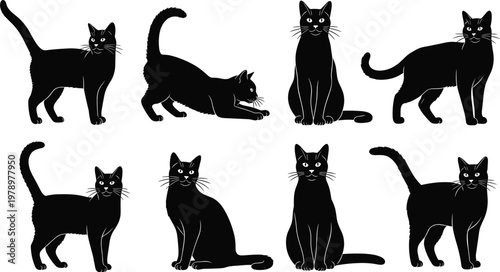 Black cat silhouettes collection, different poses of domestic feline animals, elegant pet shapes, Halloween theme vector illustration isolated on white background