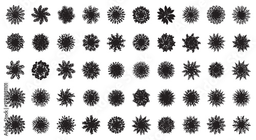 Top View Tree Silhouettes Collection For Landscape Plans And Garden Design Overhead Plant Crowns