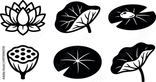 Black and white lotus flower seed pod and leaf vector icons set
