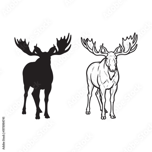 Black and white moose illustrations with large antlers on white background