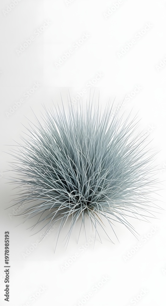 Fototapeta premium A close-up shot of blue fescue grass, showcasing its unique texture and shape