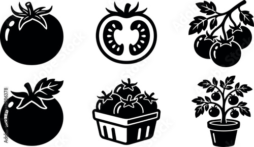 Black and white tomato icons with leaf bunch basket and potted plant