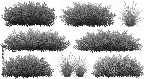 Bush shrub vector illustration. Set of borders bushes with leaves. Green nature stem grass isolated on white background.
