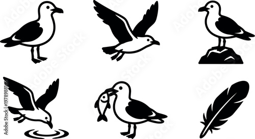 Black and white seagull birds in flight standing and holding fish with feather silhouette