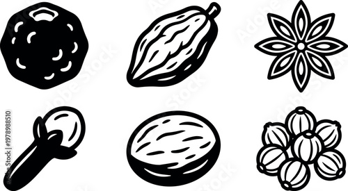 Nutmeg clove star anise cardamom and peppercorn spices